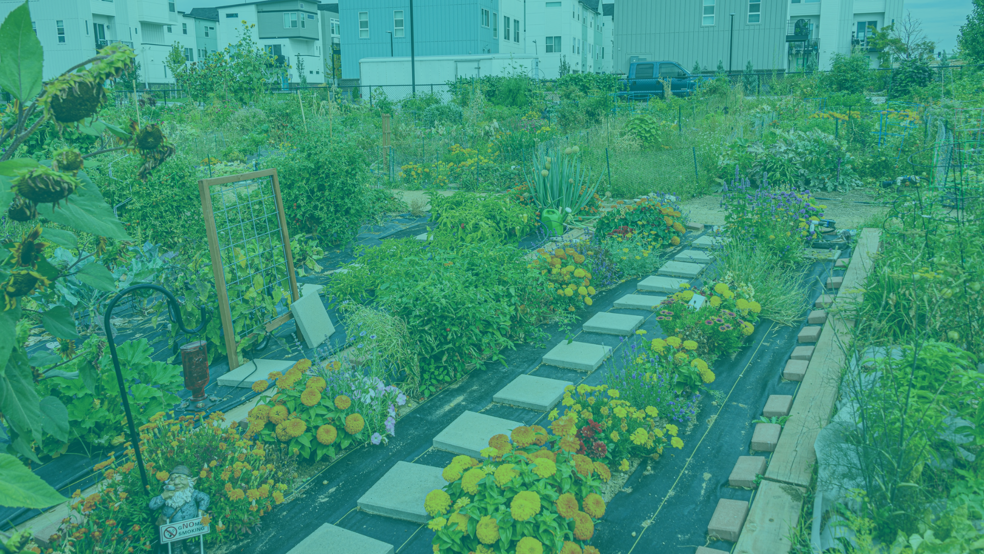 Image of a community garden with a blue filter over it